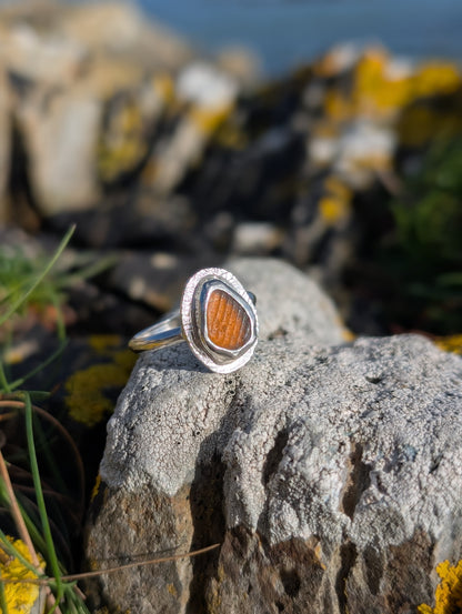Amber Celtic Ring