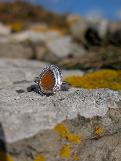Amber Celtic Ring
